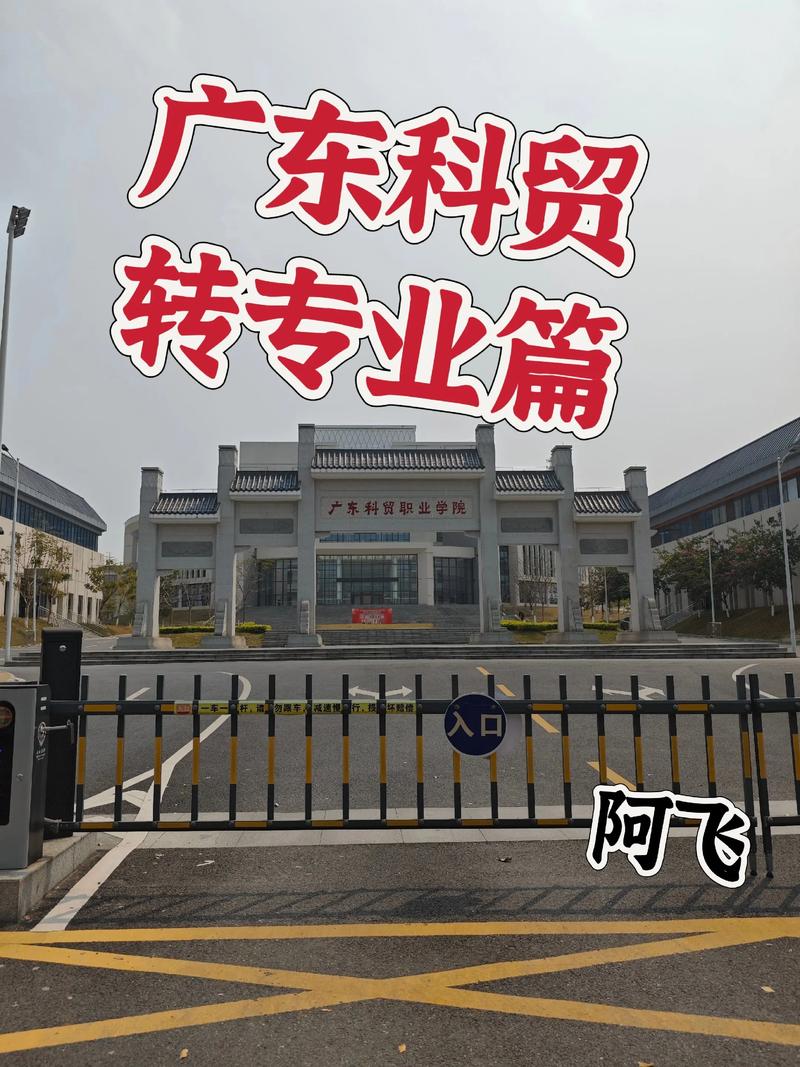 武汉科贸公司的行业动态探索